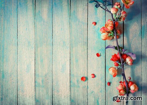 Flowers & wood background 14x JPEG