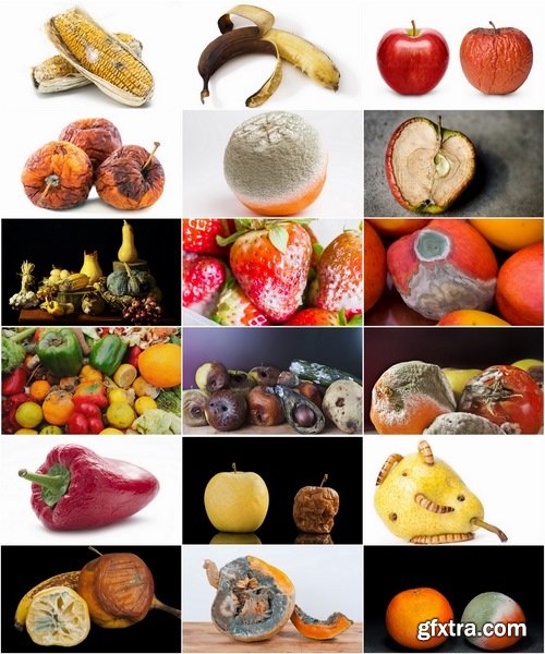 Collection of damaged rotten fruit and vegetable mildew 25 HQ Jpeg