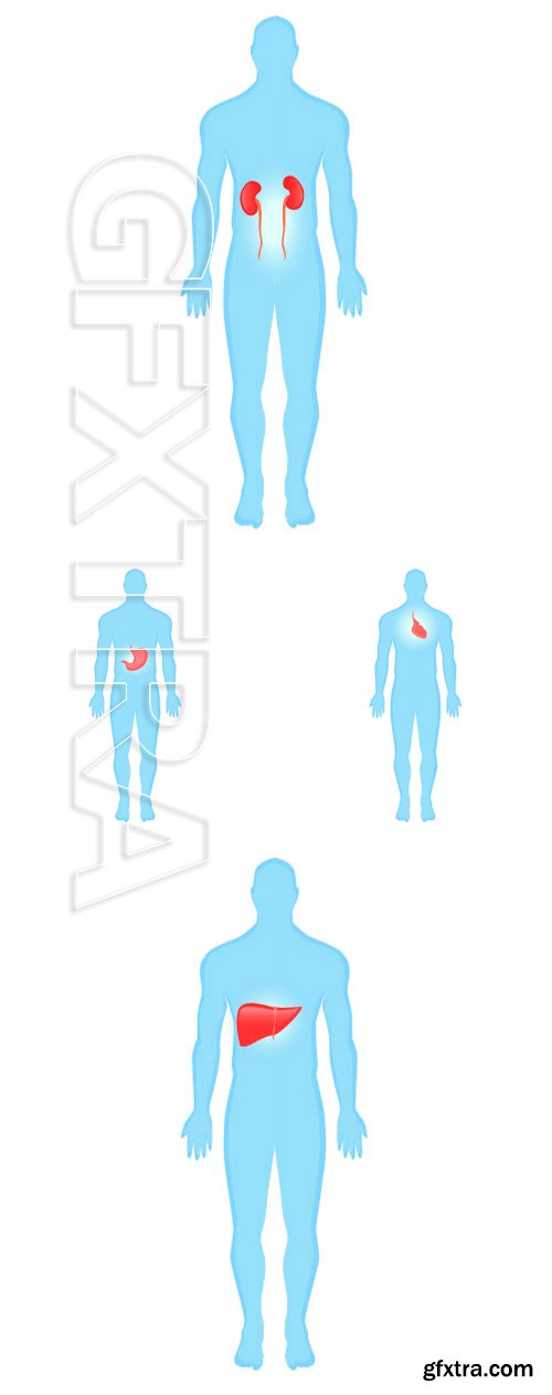 Stock Vectors - Modern Medical vector infographics, diseases of