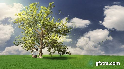 Modeling Realistic Trees with SpeedTree