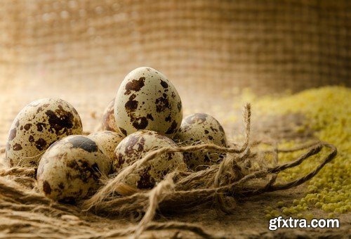 Quail eggs