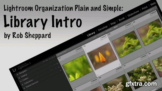 Lightroom Organization Plain and Simple