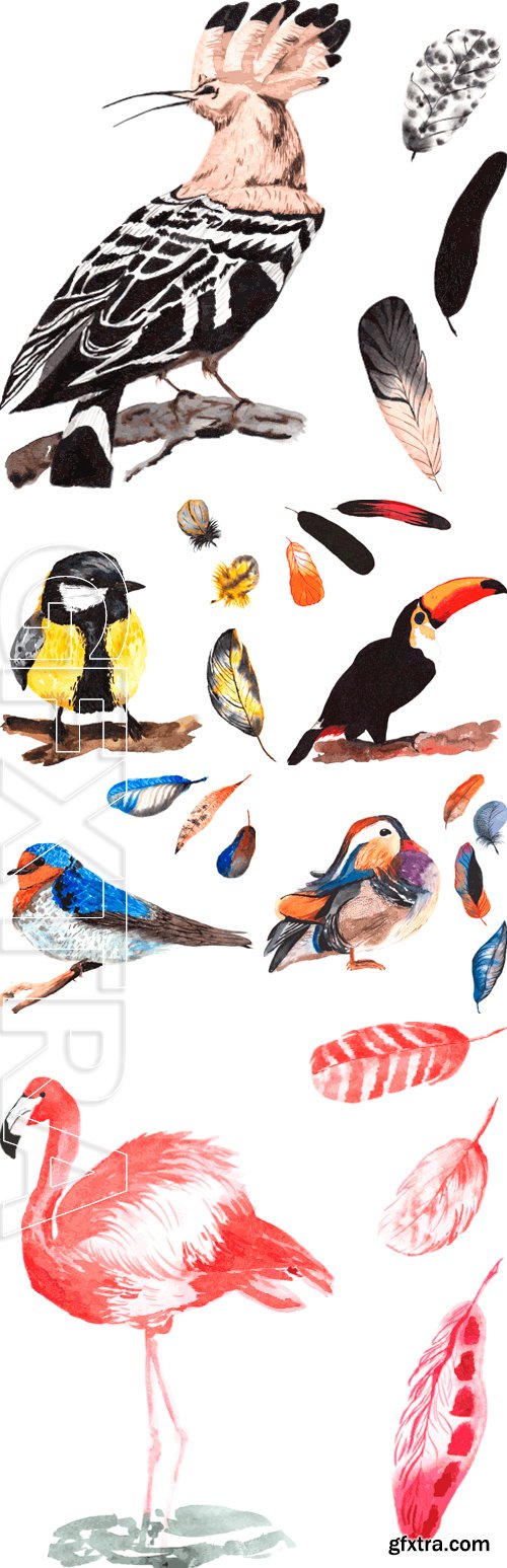 Stock Vectors - A set of hand-drawn watercolor containing bird and feathers