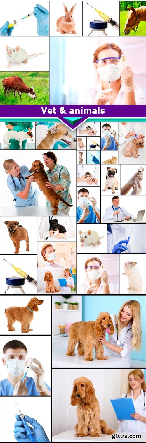 Vet &amp; animals 10x JPEG