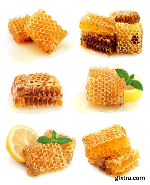 Honey Collection - 25xUHQ JPEG