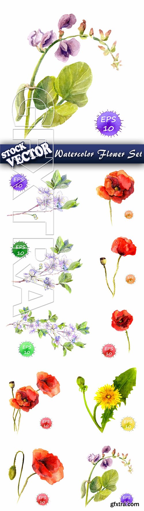 Stock Vector - Watercolor Slower Set