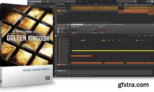 Native Instruments Maschine Expansion Golden Kingdom HYBRID-MATRiX