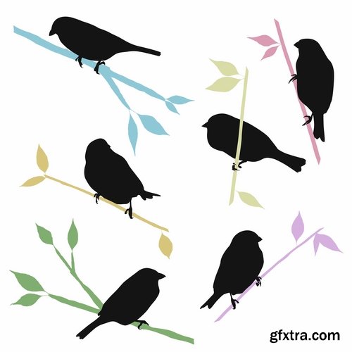 Collection picture vector bird on a branch silhouette cartoon bird heraldry 25 Eps