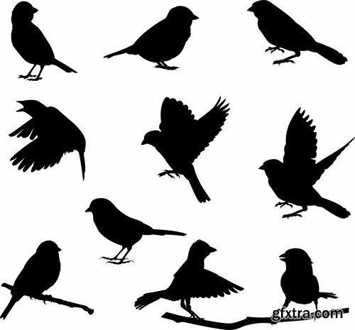 Collection picture vector bird on a branch silhouette cartoon bird heraldry 25 Eps