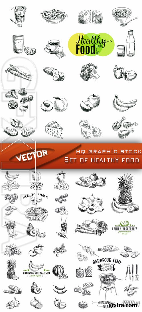 Stock Vector - Set of healthy food