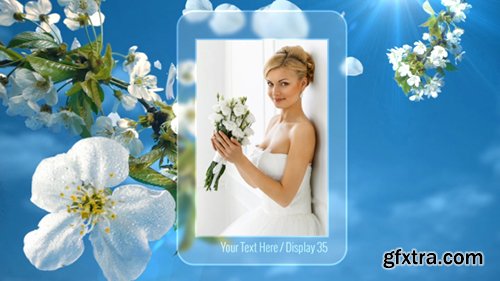 Videohive Photo Gallery Spring Blossoms 11171173