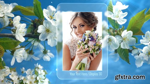 Videohive Photo Gallery Spring Blossoms 11171173