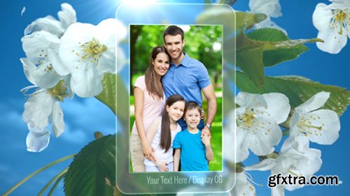 Videohive Photo Gallery Spring Blossoms 11171173