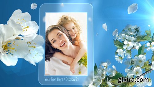 Videohive Photo Gallery Spring Blossoms 11171173