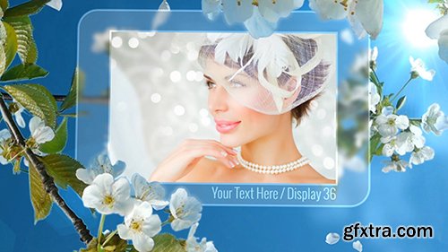 Videohive Photo Gallery Spring Blossoms 11171173