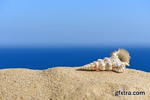 Collection tourist scenery sea beach vacation shell summer vacation 25 HQ Jpeg