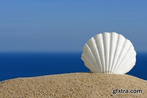 Collection tourist scenery sea beach vacation shell summer vacation 25 HQ Jpeg