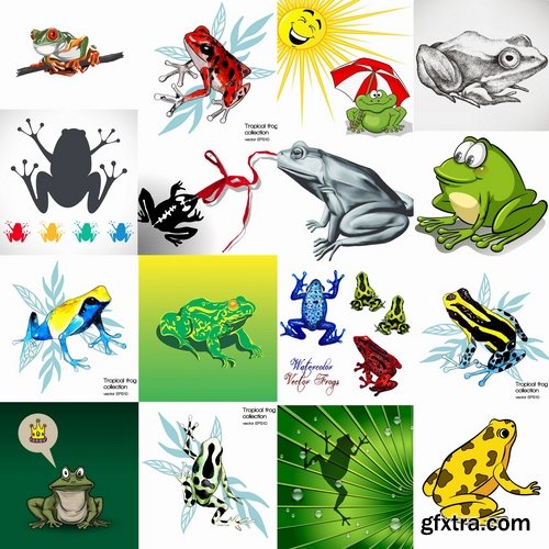 Collection of vector image animal frog toad skin color 25 Eps