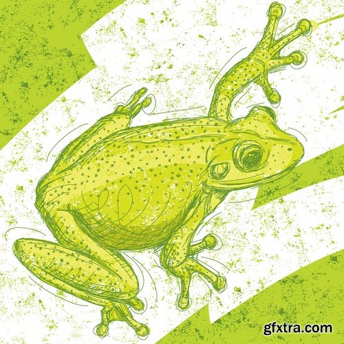 Collection of vector image animal frog toad skin color 25 Eps