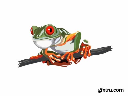 Collection of vector image animal frog toad skin color 25 Eps