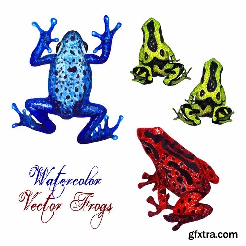 Collection of vector image animal frog toad skin color 25 Eps