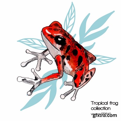 Collection of vector image animal frog toad skin color 25 Eps