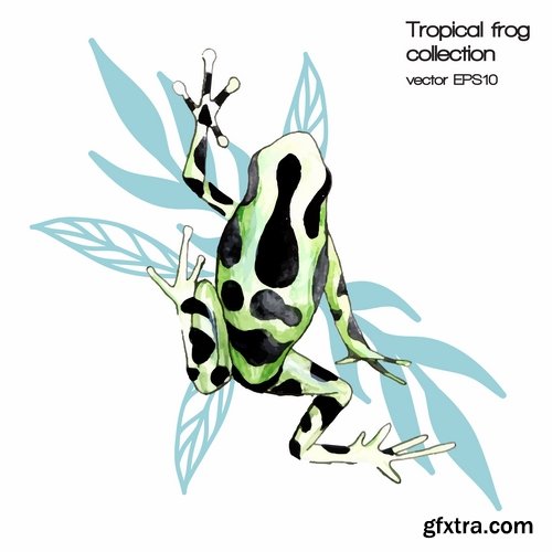 Collection of vector image animal frog toad skin color 25 Eps