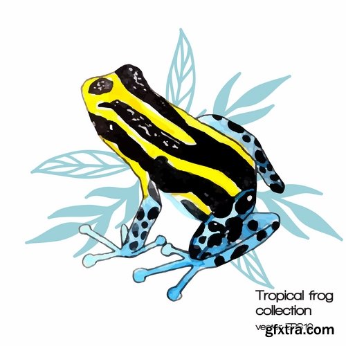 Collection of vector image animal frog toad skin color 25 Eps