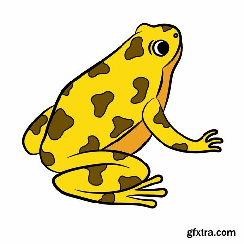 Collection of vector image animal frog toad skin color 25 Eps