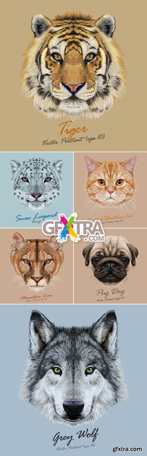 Animals Portraits Vector