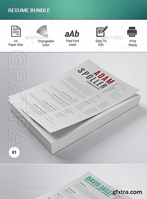 GraphicRiver - Resume Bundle 11736246