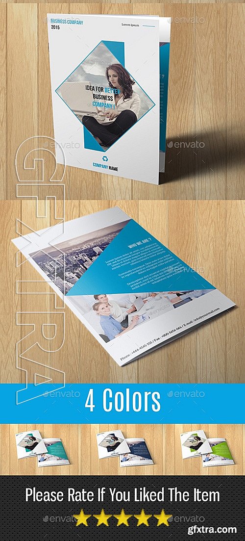 GraphicRiver - Bi-Fold Corporate Brochure 11755394