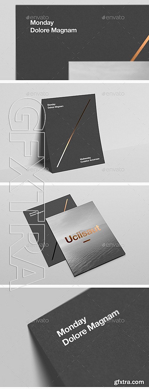 GraphicRiver - US Letter Flyer Mock-Up 11765819