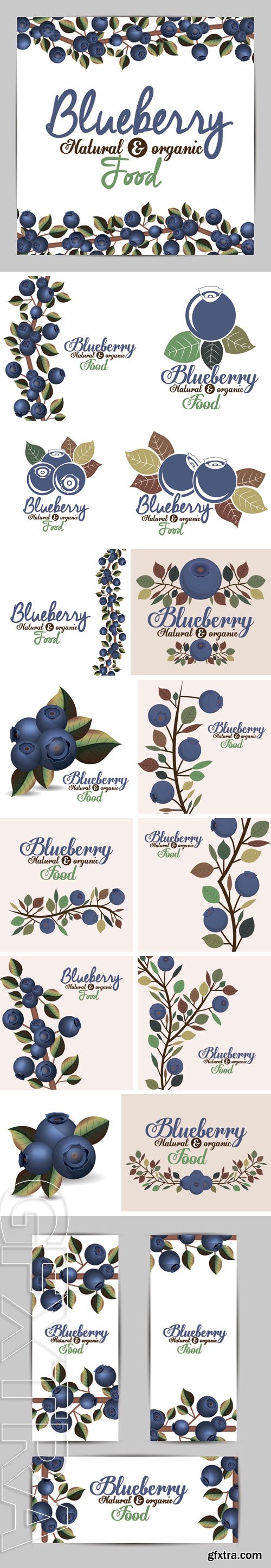 Stock Vectors - Blueberry design over white background, vector illustration