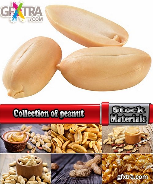 Collection of peanuts peanut butter roasted nut 25 HQ Jpeg