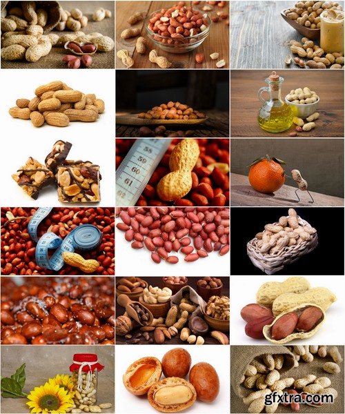 Collection of peanuts peanut butter roasted nut 25 HQ Jpeg