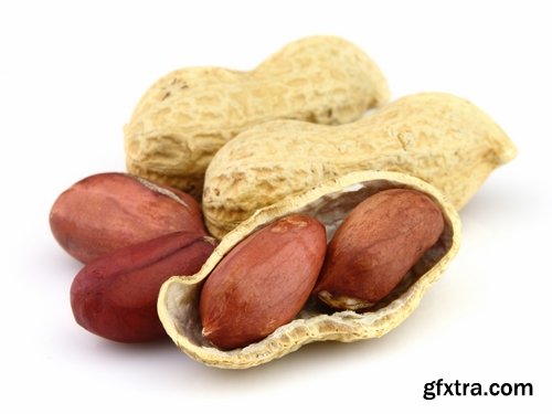 Collection of peanuts peanut butter roasted nut 25 HQ Jpeg