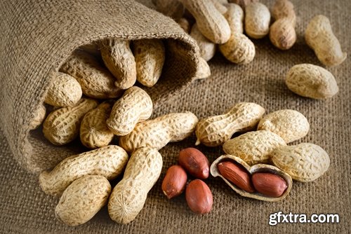 Collection of peanuts peanut butter roasted nut 25 HQ Jpeg