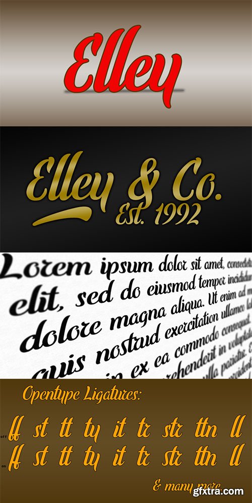 Elley - Handwriten Brush Script OTF $30