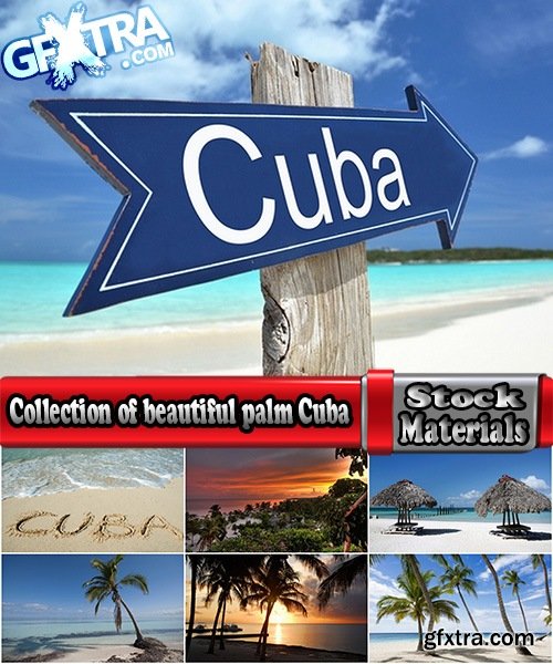 Collection of beautiful palm tree beach of a bungalow Cuba sand sea vacation 25 HQ Jpeg