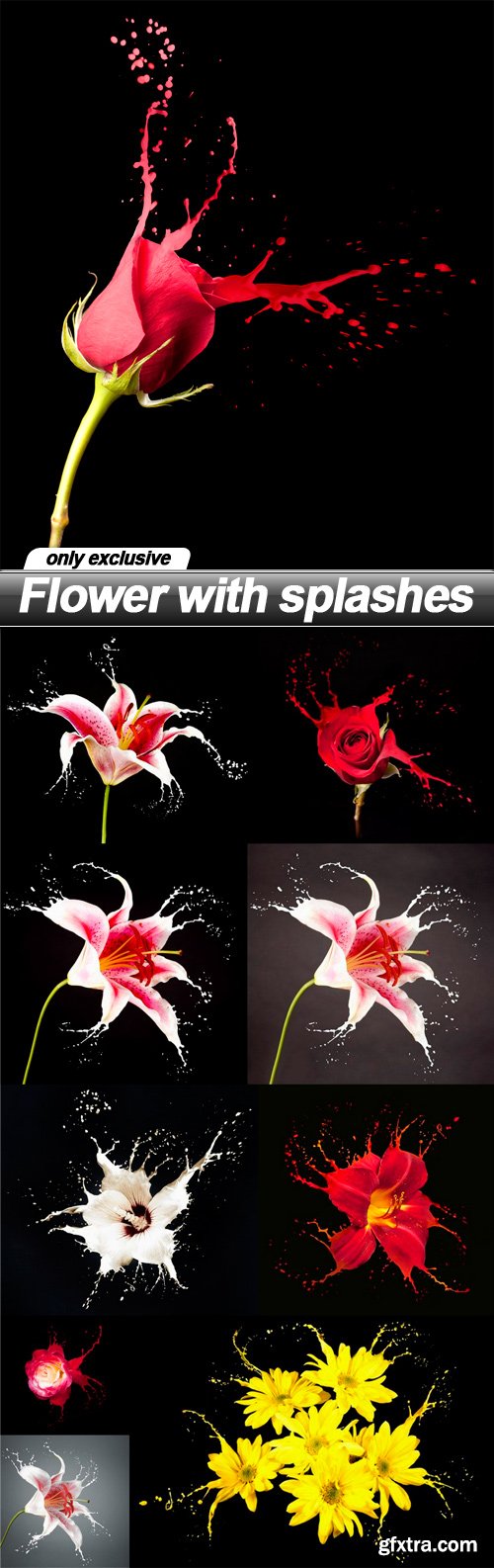 Flower with splashes - 10 UHQ JPEG