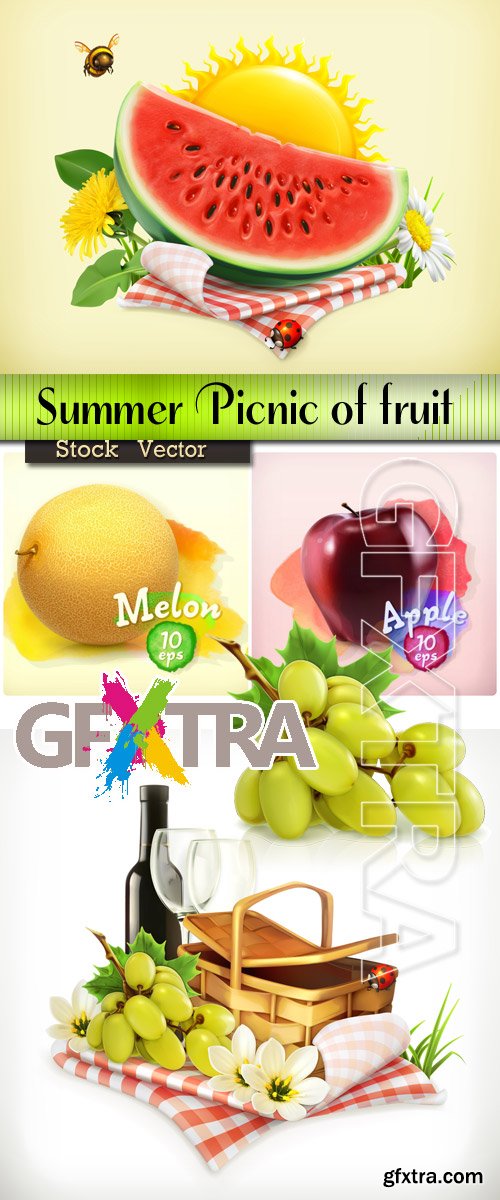Summer picnic of fruit in Vector