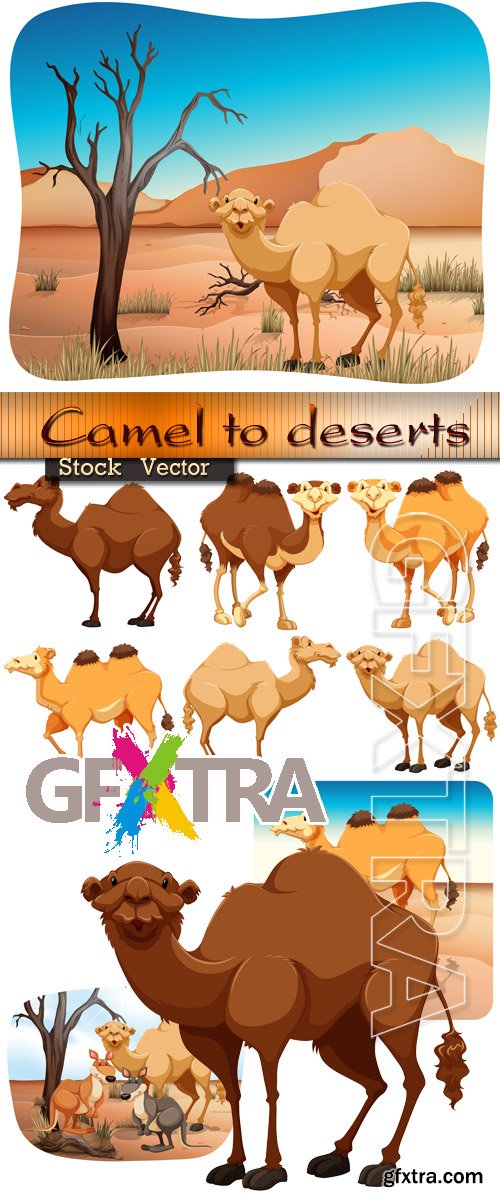 Camel to deserts in Vector