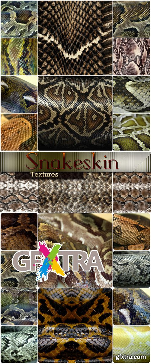 Texture collection - Snakeskin