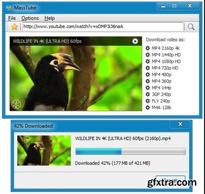 MassTube Plus v12.9.2.309 Portable