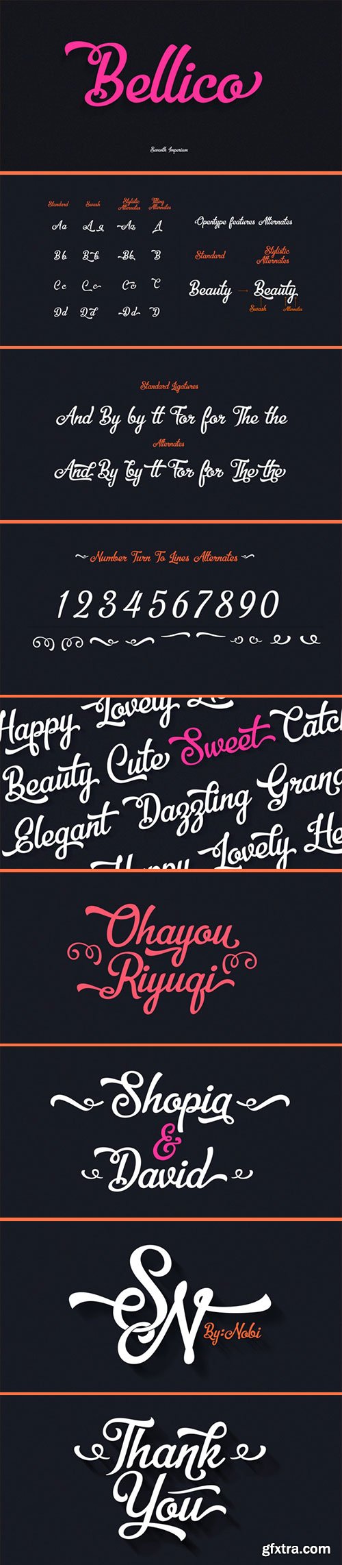 Bellico - New Beauty Script Typeface OTF $35