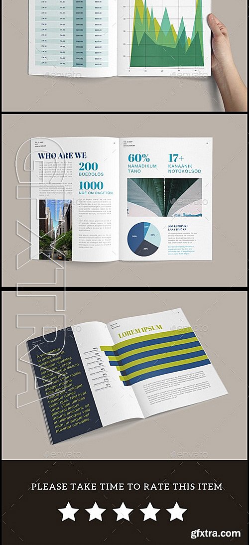 GraphicRiver - Annual Report 11707007