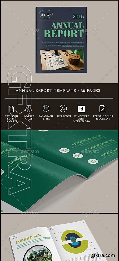 GraphicRiver - Annual Report 11707007