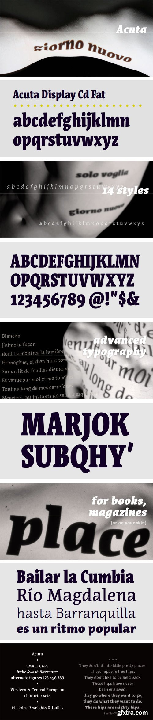 Acuta Font Family