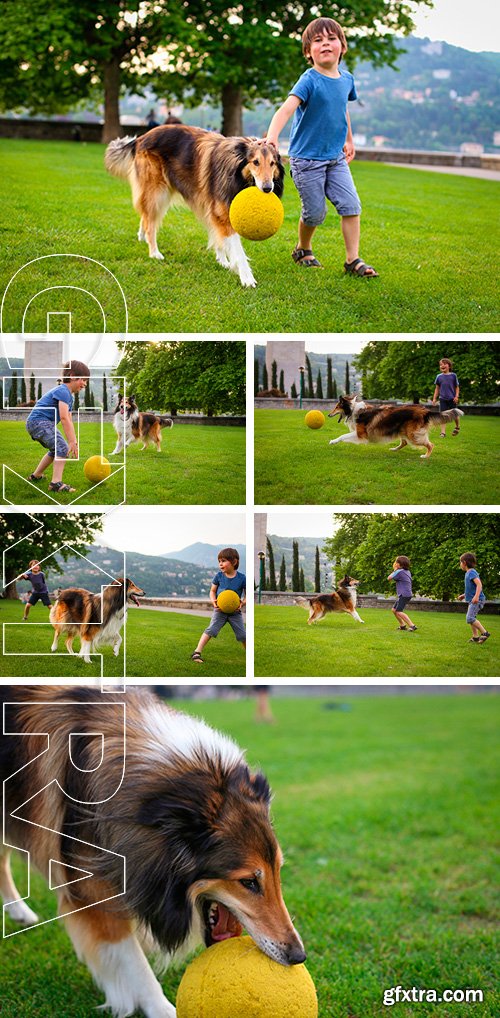 Stock Photos - Young boy playing with a collie dog in the park with a ball